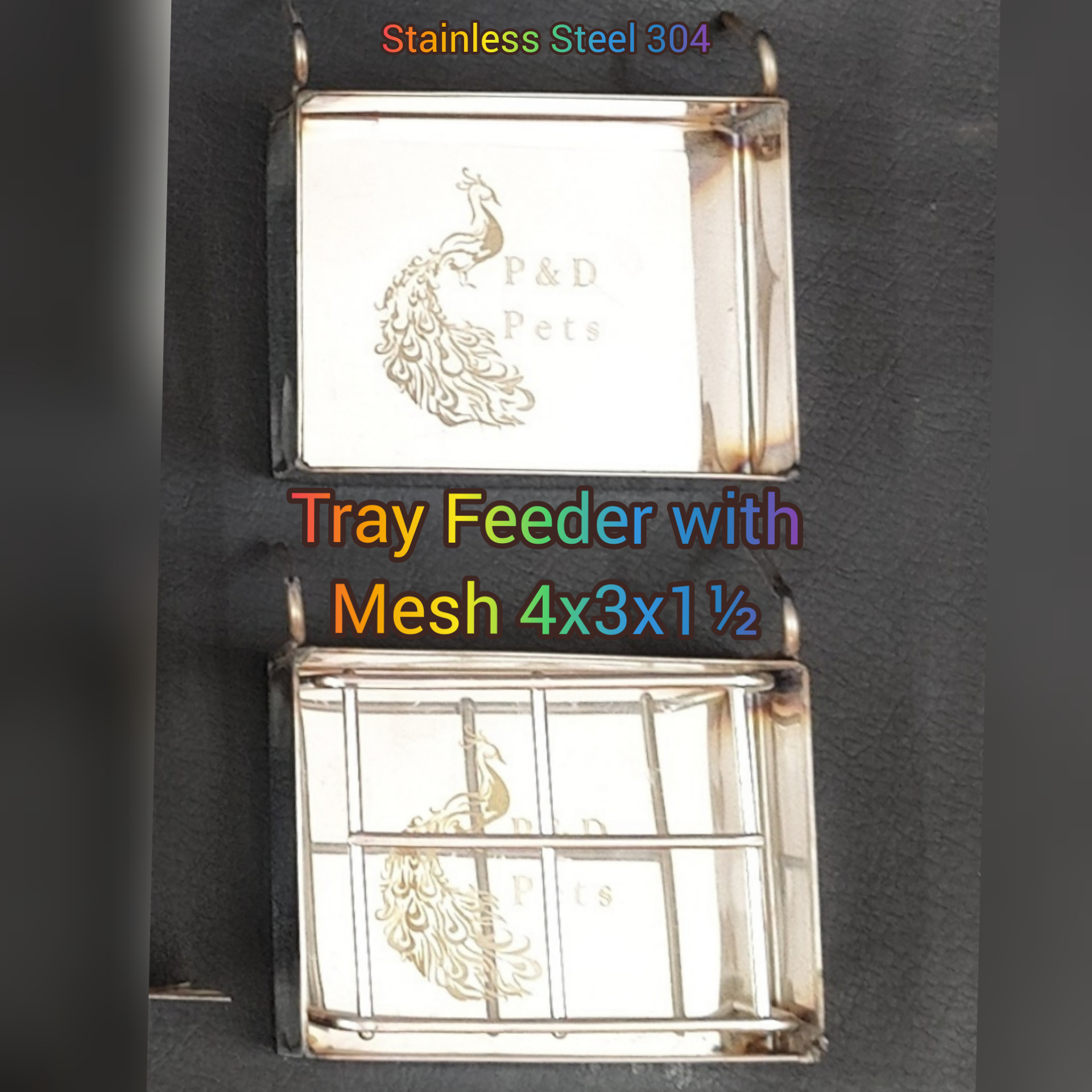 InShot_20220110_163306264